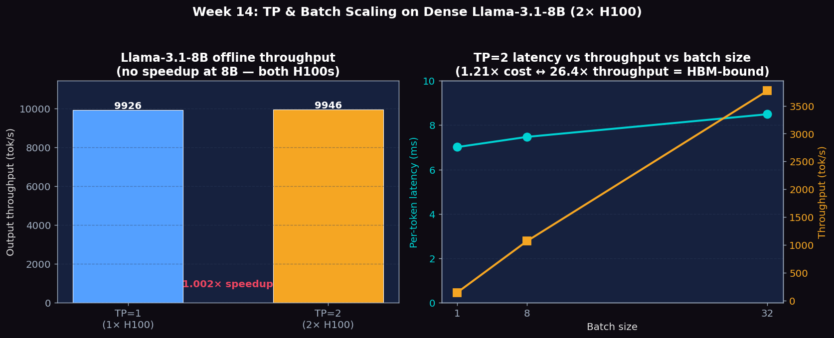 Week 14 TP scaling and batch size scaling